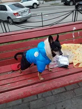 Jacket Bulldog-Clothing Pet-Coat Puppy Dogs Pug Chihuahua French Waterproof Winter Small