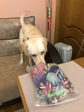 Toy-Sets Chew-Rope-Toys Large-Dog Teeth Big Dogs Outdoor for 12pcs Juguete Perros Para