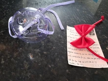 Bozal transpirable Para perros y gatos, mascarilla antimordeduras, máscara Para la boca Para gatitos y mascotas, bozal Para limpieza de baños de gatos, herramienta Para Gat