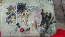 1 caja de hojas de flores prensadas reales, resina de margaritas secas, calcomanías de belleza para uñas, moldes de epoxi, embellecedores para fabricación de joyas