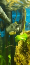 Fabricante de la onda de la Wavemaker bomba de agua para tanque de peces de acuario bomba sumergible aeróbica de agua de la bomba de circulación de bomba de flujo de Surf bomba de 220V