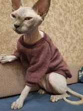 Suéteres de Gato caliente, ropa clásica de moda, ropa para perro y gato para gatos pequeños, traje de Chihuahua, abrigo de disfraz de gato de invierno