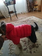 Ropa de invierno para mascotas, chaqueta cálida gruesa para perros pequeños y grandes, abrigo impermeable para cachorros, Chihuahua, Pug, Bulldog francés