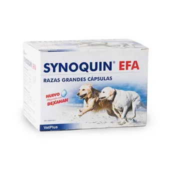 

Synoquin EFA large dog chondroprotector