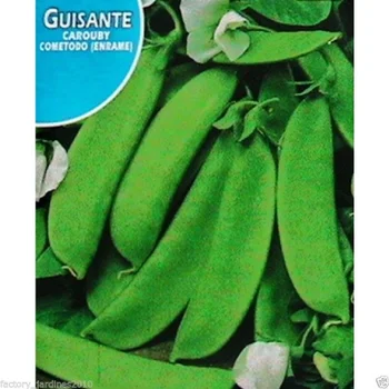 

Vegetable planting seeds pea CAROUBY medium ENRADE