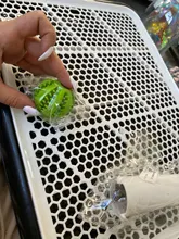 Lattice Dog Toilet Potty Training Indoor Dog Potty Tray Pet Training Toilet For Dogs