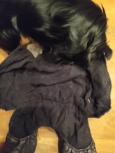 Coat Dogs-Clothing Dot-Pattern Winter Hooded Pet-Dogs New Xl To High-Quality