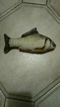 Doll-Pillow Cat-Toy Cat Mint Simulation-Fish Grass-Carp Funny New Pet-Molar