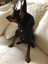 Coat Puppy Clothing Pet-Dog-Jacket Dogs Chihuahua Yorkshire Hoodies Outfit Small Winter