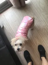 Vest Clothing Pet-Jacket Dog-Coat Puppy French-Bulldog Small Dogs Waterproof Winter For Chihuahua