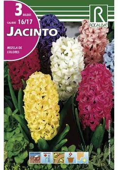 

Flower bulbs-mixed colors autumn bulbs
