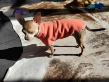 Coat-Jackets Fleece Vest Pug-Costumes Dogs French-Bulldog Chihuahua Winter Small Medium