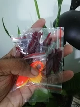 Lures-Fishy Fishing-Tackle Smell-Carp Worm-4cm Artificial Sougayilang 50-200pcs Simulation