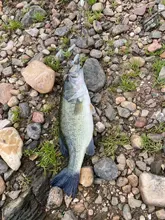 Fishing-Lure Salt-Smell Worms Soft-Bait Carp Bass-Pesca Artificial Silicone with 10pcs