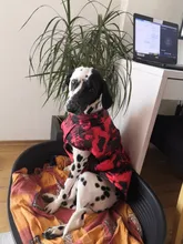 Vest Coat Jacket Pet-Dog-Clothes French-Bulldog-Pet Dogs Small Waterproof Large Winter