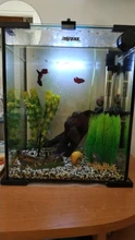 Cartel de paisaje de acuario 3D, cuadro de fondo para tanque de peces, pegatina de pintura de doble cara, Océano, Mar, Fondo de plantas, decoración de acuario HD