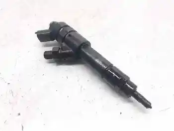 

0445120002 injector FIAT DUCATO box CERR. Ceiling over. (since 03.02)