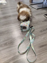 Arnés para perro o gato reflectante personalizado, chaleco para mascota, conjunto de correa ajustable para caminar para cachorro, perros medianos y pequeños, suministros para mascotas Chihuahua