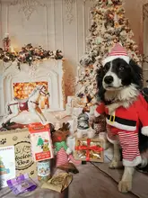 Costume Cat Jacket Christmas Dogs Small Santa-Claus Winter Large for Funny Dog-Coat Warm