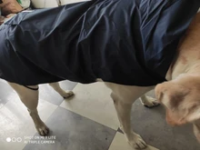 Dogs Coat Rain-Jacket Labrador Big-Poncho Golden-Retriever Waterproof Outdoor Pet-Dog