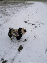 HOOPET Large Coat Down-Jacket Winter New Warm Autumn for Dogs Dog-Prints Overalls Leisure-Style