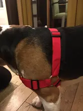 Arnés de nailon sin tirones para perro, arneses de perro mascota ajustables, chaleco para perros medianos y grandes, Pitbull Bulldog, Pastor Alemán, S-XL, negro