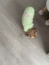 Ropa de verano para mascotas, Camiseta con estampado de flamenco para perro, chaleco para perros pequeños y medianos, accesorios para mascotas, chaleco para gatos, camisas, XS-2XL