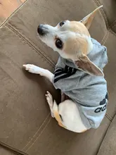 Dog clothes adidog 2020 new winter Pet clothes small and medium-sized dog Hoodies puppy