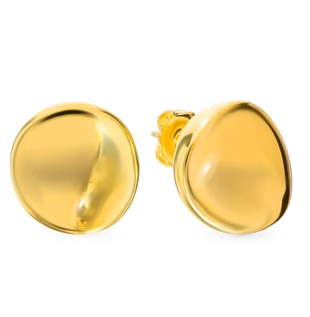 

Silver earrings sunlight sample 925 test