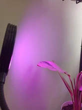 Grow-Light Lamps Timer Flowers Desktop-Clip LED Phyto Full-Spectrum For Plants DC5V USB