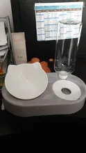 Food-Bowl Raised-Stand Pet-Cat-Bowl Water-Fountain Automatic-Feeder Drinking For Cats