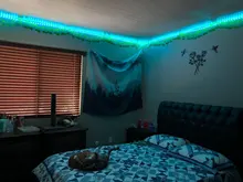 Tiras de luz LED WIFI RGB 5050, funciona con el asistente de Google Alexa, aplicación de teléfono, Color, 24V, TV, ordenador, dormitorio, Luces Led con Bluetooth