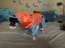 Jumpsuit Raincoat Pet-Cloak Teddy Waterproof-Jacket HOOPET Dogs Chihuahua for Small Cat