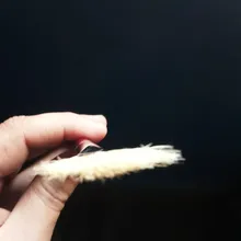 EZONE-soporte para bolígrafo rojo, pincel de diferentes tamaños, brochas de abanico, acuarela/pintura al óleo, dibujo de Gouache, juguete de arte, suministros para escuela y oficina