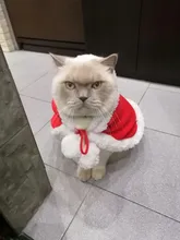 Pet Dog Cat Costume Christmas Antlers Hat Cloak Halloween Disguise Clothes For Cats Small