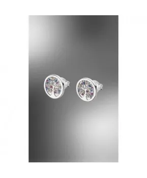 

Silver earrings and stones