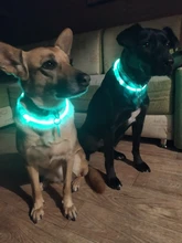 Night-Dog-Collars Glowing Flashing Rechargeable LED HILIFE Night-Safety Luminous