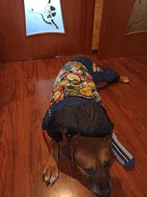 HOOPET Large Coat Down-Jacket Winter New Warm Autumn for Dogs Dog-Prints Overalls Leisure-Style