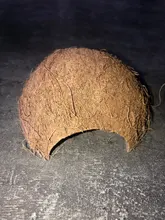 Nest Hamster-House Hiding-Cage Coconut-Shell Small Animal Reptiles Cave Spider Natural
