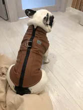 Jacket Vest Puppy-Clothing Pug-Coat Small Dogs Chihuahua Waterproof Winter Teddy Pet-Dog