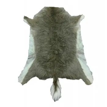 

Skin rugs redunca African 85x70 cm