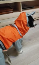 Jumpsuit Raincoat Pet-Cloak Teddy Waterproof-Jacket HOOPET Dogs Chihuahua for Small Cat