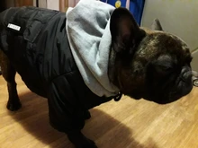Jacket French Bulldog Dog Winter SUPREPET Coat Pet-Dog Dogs Large Cotton for Warm Perro