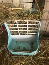 Bowls Rabbit-Food-Feeder Guinea-Pig Chinchillas Animal-Supplies Grass Small for And 2-In-1