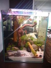 Luces LED para cultivo de plantas, luces para peceras, luces pequeñas con Clip, accesorios de irradiación para acuario, lámpara de decoración