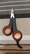 Nail-Clipper Bird-Supplies Pet Bird Parrot Small Black 1pc Grooming-Tool Pet-Claw Animals