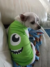 Nueva moda deportes ropa de perro T camisa traje Yorkshire Chihuahua cachorro Ropa para perros de verano perro gato camisa chaleco XS-XXL