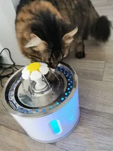 Fuente de agua automática para gatos y perros, alimentador para beber con filtro de carbón activo, tazón de bebida, dispensador eléctrico para gatos con alimentación USB fonte de agua para gato bebederos para perros