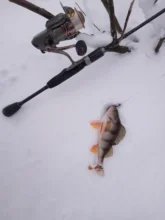 4-Fishing-Hook Barbed-Hook Carp DAGEZI Carbon-Steel for 25pcs/Lot 25pcs/Lot