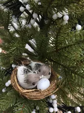 Cage-Set Nest Bird Gardening-Decoration Desktop-Ornament 9cm Simulation Photography-Props